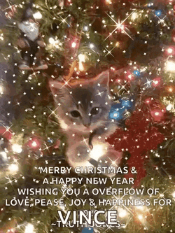 Merrychristmas Happynewyeartoall GIF