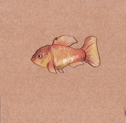 Mesmerizing Evolution Transitions GIF