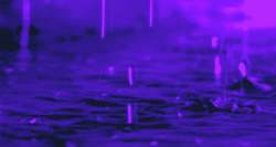 Mesmerizing Purple Water Drops