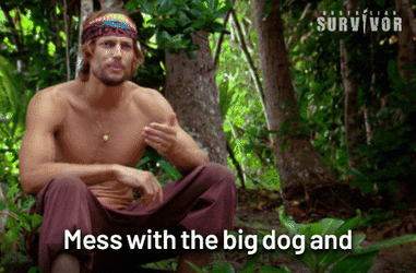 Mess With Big Dog And Get Horns GIF