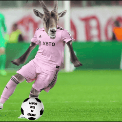 Messi Is The Goat Kicking Football GIF