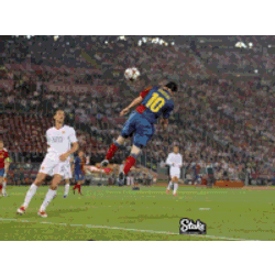 Messi Messi World Cup Sticker GIF