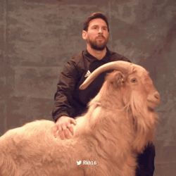 Messi Photo Shoot With Goat GIF
