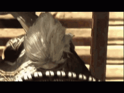 Metal Gear Raiden Adios GIF