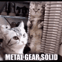 Metal Gear Solid Cute Cats