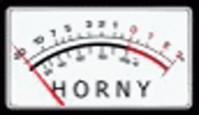 Meter With Horny Written On It GIF