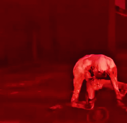 Metro 2033 Dancing Monster GIF