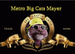 Metro Big Cats Mayer Logo  GIF