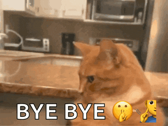 Mewing Cat Mogging GIF