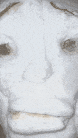 Mewing Meme Snow Man Close Up Look GIF