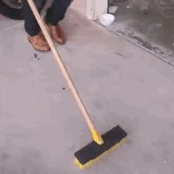 Mexican Cat Dancing Meme GIF