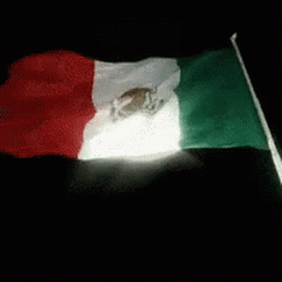 Mexican Flag Flying In Dark GIF