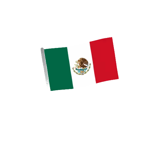 Mexican Flag Voting Poster Sticker