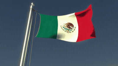 Mexican Flag Waving In Wind GIF