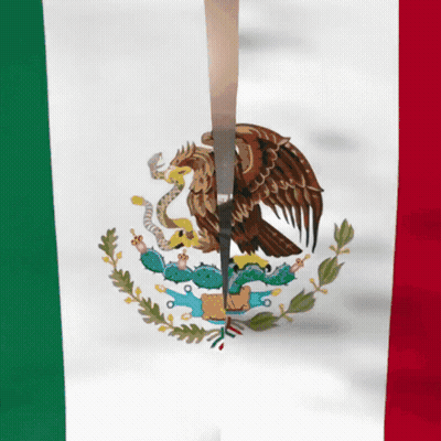 Mexican Flag With Eagle And Snake GIF