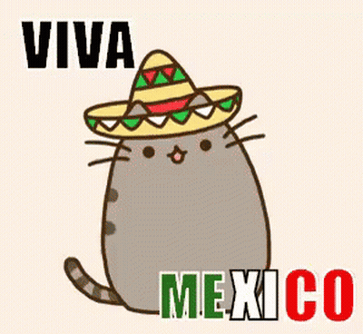 Mexican Flag With Guitar Sombrero Cactus GIF