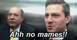 Mexican Politician Enrique Pena Nieto No Mames GIF