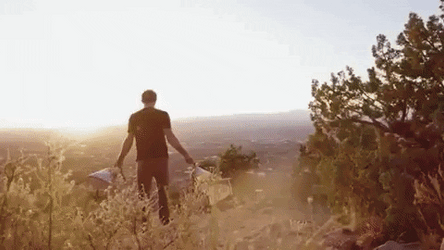 Mexico Flag The New State GIF