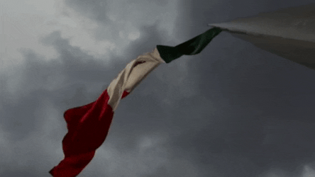 Mexico Flag Upper View GIF