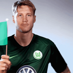 Mexico Flag VFL Wolfsburg GIF