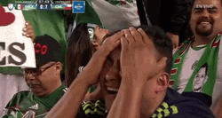 Mexico Football Fan GIF