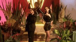 Mexico La Maxicana GIF