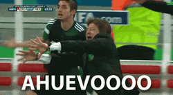 Mexico Soccer Manager Miguel Herrera Getting Wild GIF