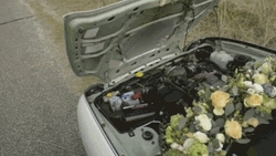 MG Car Engine Floral Decoration GIF