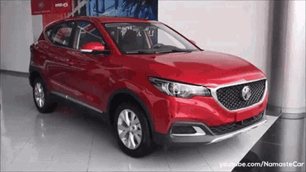 Mg Zs Mg GIF