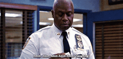 Mhmm Captain Ray Holt GIF