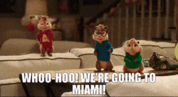 Miami Chipmunks Goes To Miami GIF