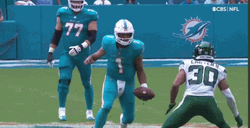 Miami Dolphins Clash GIF