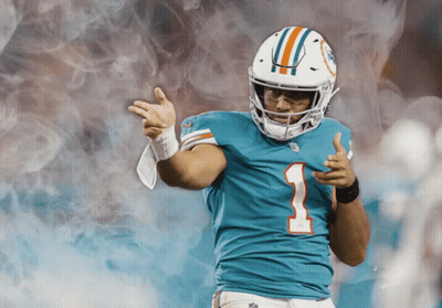 Miami Dolphins Football Player Number 1 Jersey GIF