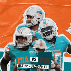 Miami Dolphins Game Day GIF