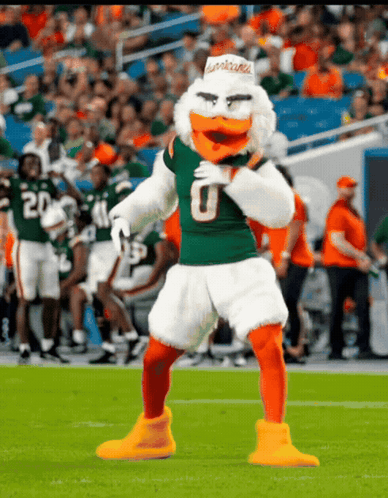 Miami Dolphins Mascot Dancing GIF