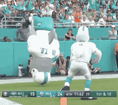 Miami Dolphins Mascot On Field GIF