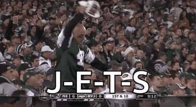 Miami Dolphins Mascot Standing Upside Down GIF