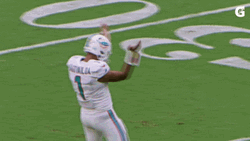 Miami Dolphins Player Dancing GIF