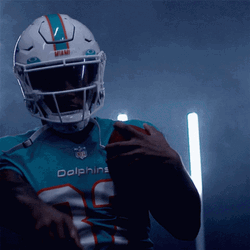 Miami Dolphins Player GIF
