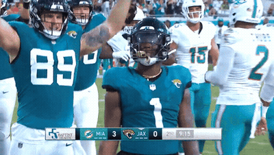 Miami Dolphins Vs Jacksonville Jaguars Football GIF