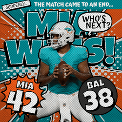 Miami Dolphins Wins GIF