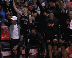 Miami Heat Bam Adebayo Celebration GIF