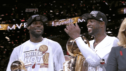 Miami Heat Championship GIF