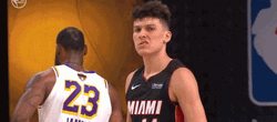 Miami Heat Jamal Murray Smirk GIF