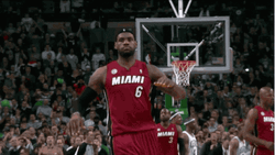 Miami Heat Lebron James Celebration GIF