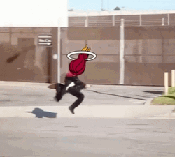 Miami Heat Logo Harry Potter GIF