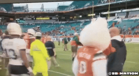 Miami Hurricanes Mascot Joins The Crowd GIF