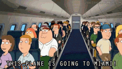 Miami Lets Rock The Plane GIF