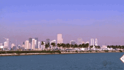 Miami Ocean View GIF