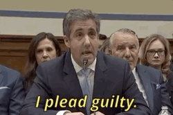 Michael Cohen I Plead Guilty  GIF